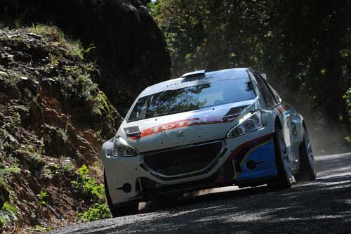 Andreucci racconta la Peugeot 208 T16 Andreucci racconta la Peugeot 208 T16