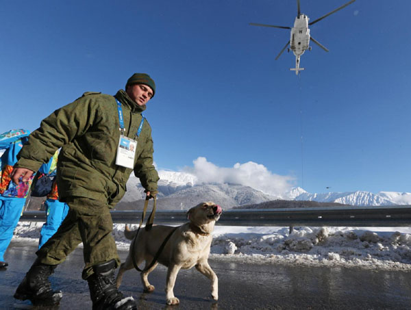 Olimpiadi invernali in Russia, a Sochi è strage di cani randagi Olimpiadi invernali in Russia, a Sochi è strage di cani randagi