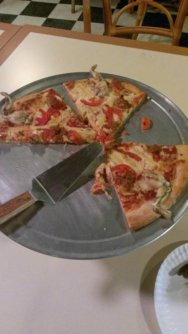 In Florida si mangia la pizza al serpente