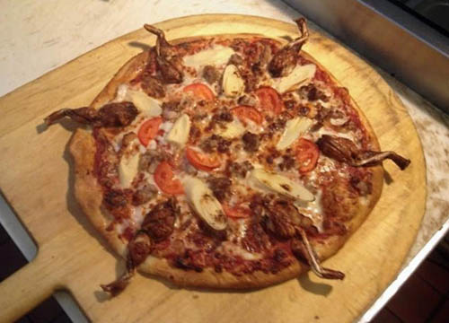 In Florida si mangia la pizza al serpente