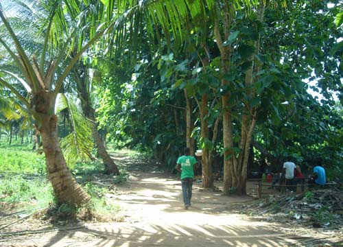 Profumo di spezie e mare da favola: i must dell’isola di Zanzibar