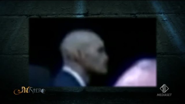 L’alieno della foresta: il mistero