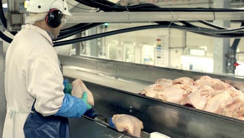 McDonald’s svela i segreti dei Nuggets: “Ecco come li facciamo” McDonald’s svela i segreti dei Nuggets: “Ecco come li facciamo”