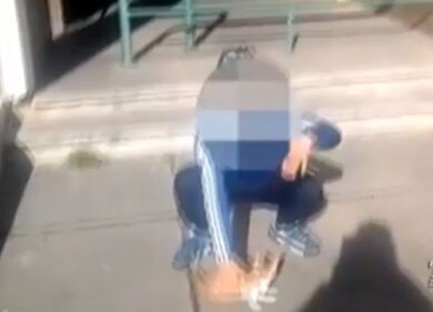 VIDEO: Francia, un anno di carcere per il lanciatore di gatti sul web
