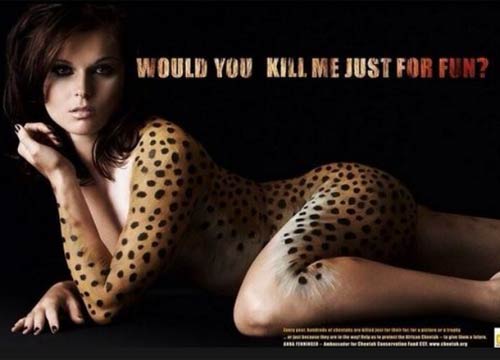 Anna Fenninger, il ghepardo d’oro. Sochi, tutti pazzi per le atlete