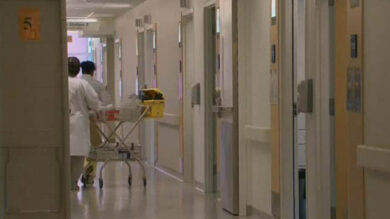 VIDEO: Aviaria, un morto in Canada per H5N1