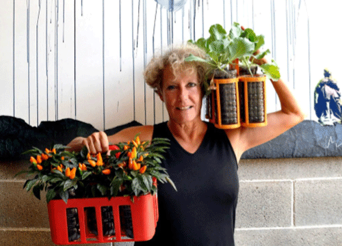 “Rose selvatiche”, Ponte alle Grazie lancia una collana dedicata alla natura