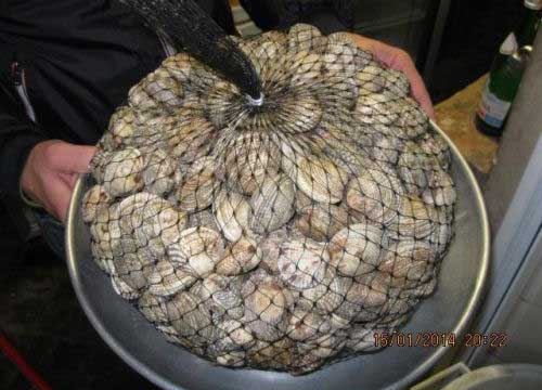 “Contengono sostanze cancerogene”. Allarme salute sui cibi confezionati
