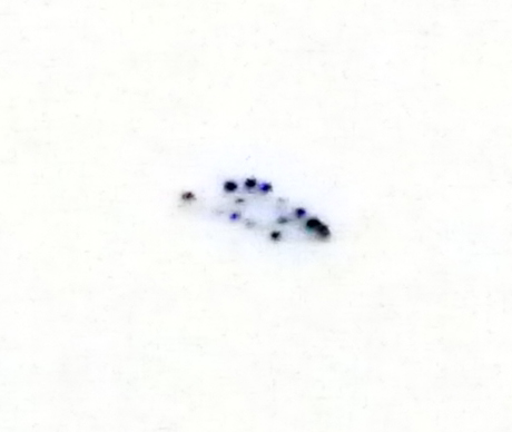 Enorme ufo avvistato a Rivoli, vicino all’aeroporto di Caselle. Foto