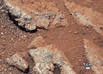 C’è vita su Marte. La clamorosa scoperta della Nasa