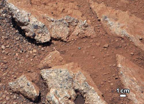 C’è vita su Marte. La clamorosa scoperta della Nasa C’è vita su Marte. La clamorosa scoperta della Nasa