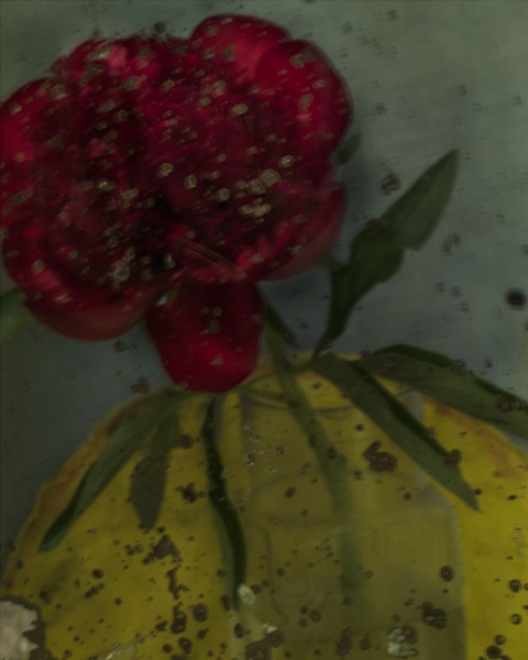 Gli scatti tra sogno e realtà: “Sarah Moon. About Colour”