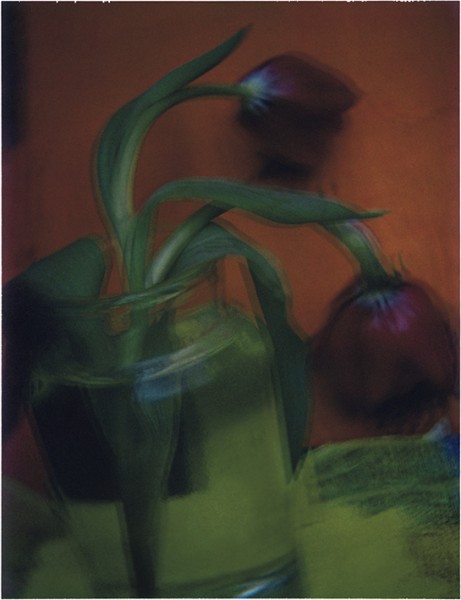 Gli scatti tra sogno e realtà: “Sarah Moon. About Colour”