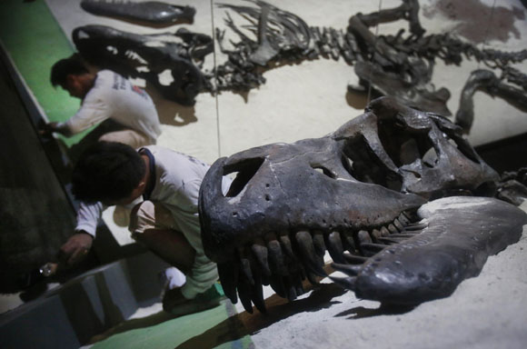 Scoperto il dinosauro più grande d’Europa. Le foto Scoperto il dinosauro più grande d’Europa. Le foto