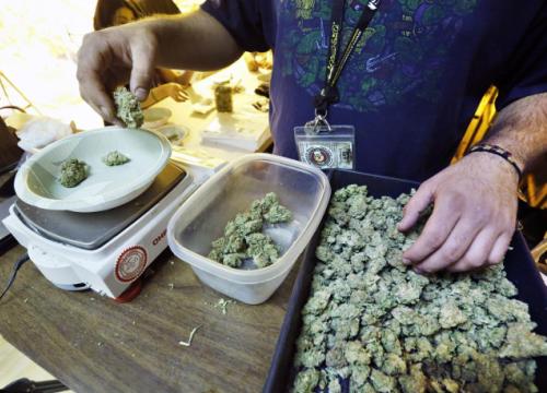 Cdm non impugna legge Abruzzo sull’uso terapeutico della cannabis Cdm non impugna legge Abruzzo sull’uso terapeutico della cannabis