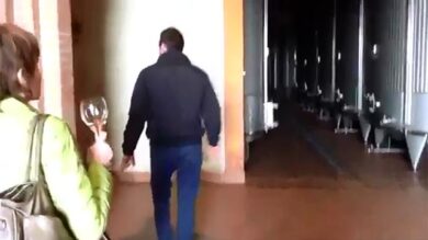 VIDEO: Franciacorta, visita alla Cantina Ferghettina