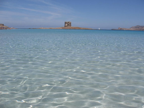 Le spiagge più belle del mondo. C’è anche l’italiana Lampedusa. FOTO Le spiagge più belle del mondo. C’è anche l’italiana Lampedusa. FOTO