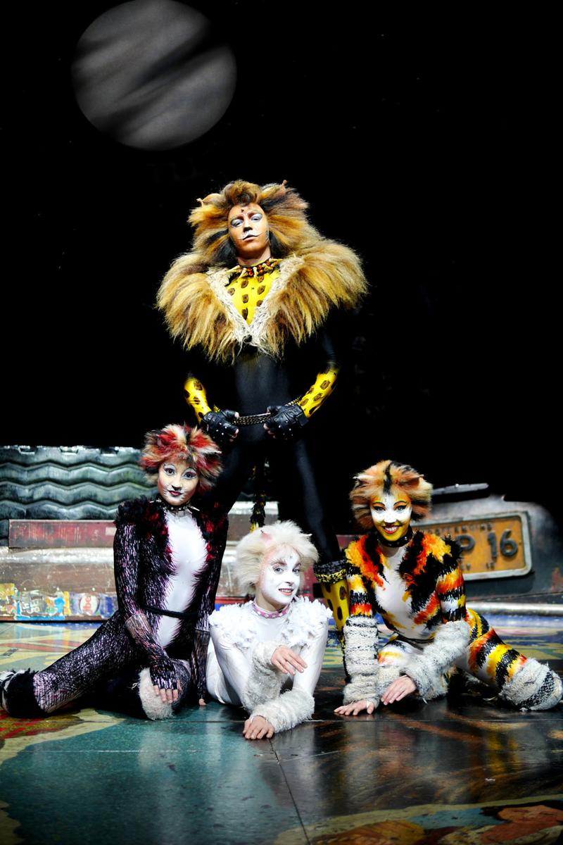 Cats sbarca a Milano con un italiano in scena: ecco il talento di Filippo Strocchi Cats sbarca a Milano con un italiano in scena: ecco il talento di Filippo Strocchi