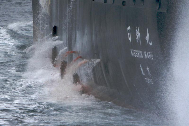 Balene, l’Aja mette fine alla mattanza: “Tokyo fermi subito la caccia” Balene, l’Aja mette fine alla mattanza: “Tokyo fermi subito la caccia”