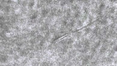 VIDEO: Primo video 3-D di spermatozoi umani viventi