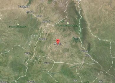 Camerun, rapiti due sacerdoti di Vicenza