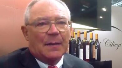 VIDEO: intervista ad Anton Borner (Omina Romana)