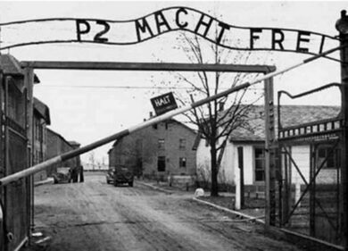Grillo ‘tarocca’ la foto di Auschwitz. E parafrasa Levi per colpire il Colle