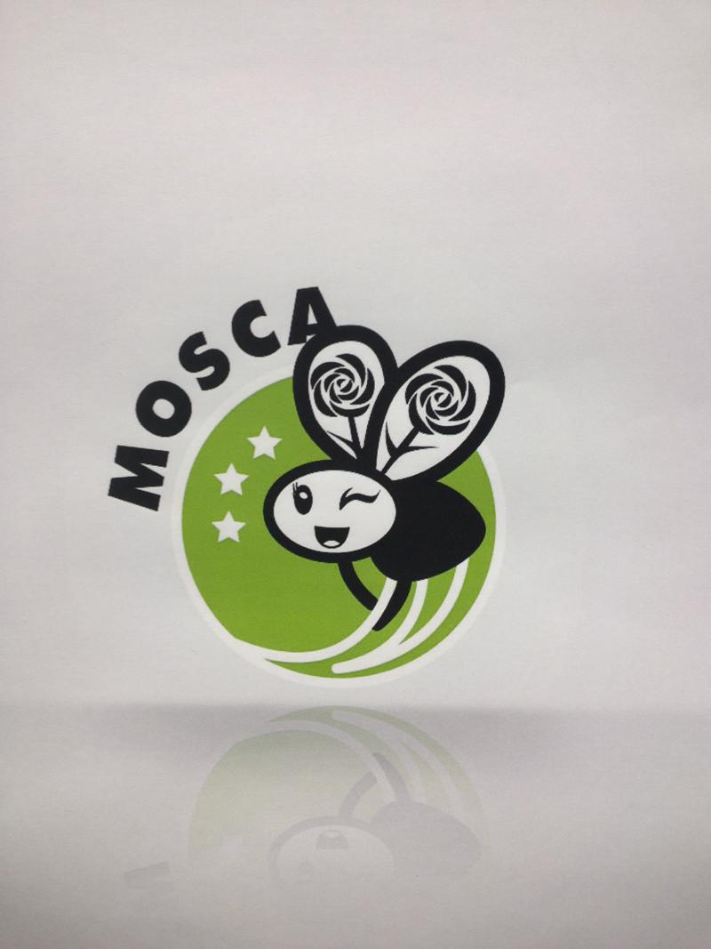 Mosca lancia la sua campagna. “L’euroscetticismo? Uno sprone” Mosca lancia la sua campagna. “L’euroscetticismo? Uno sprone”