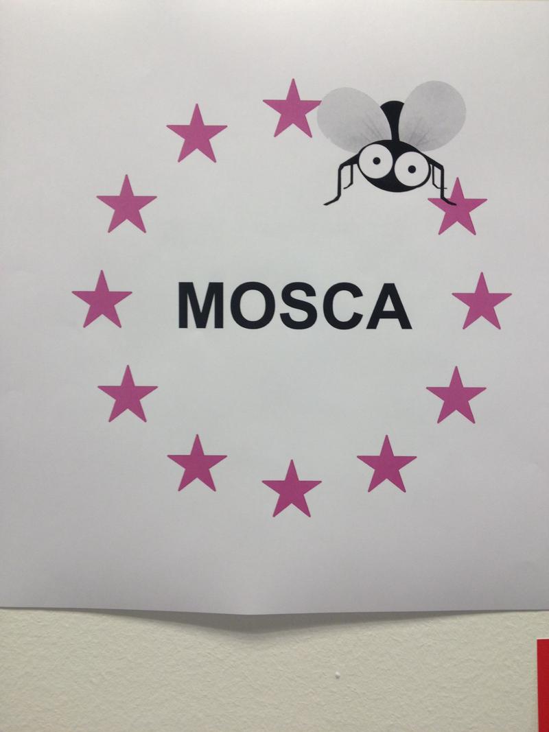 Mosca lancia la sua campagna. “L’euroscetticismo? Uno sprone” Mosca lancia la sua campagna. “L’euroscetticismo? Uno sprone”