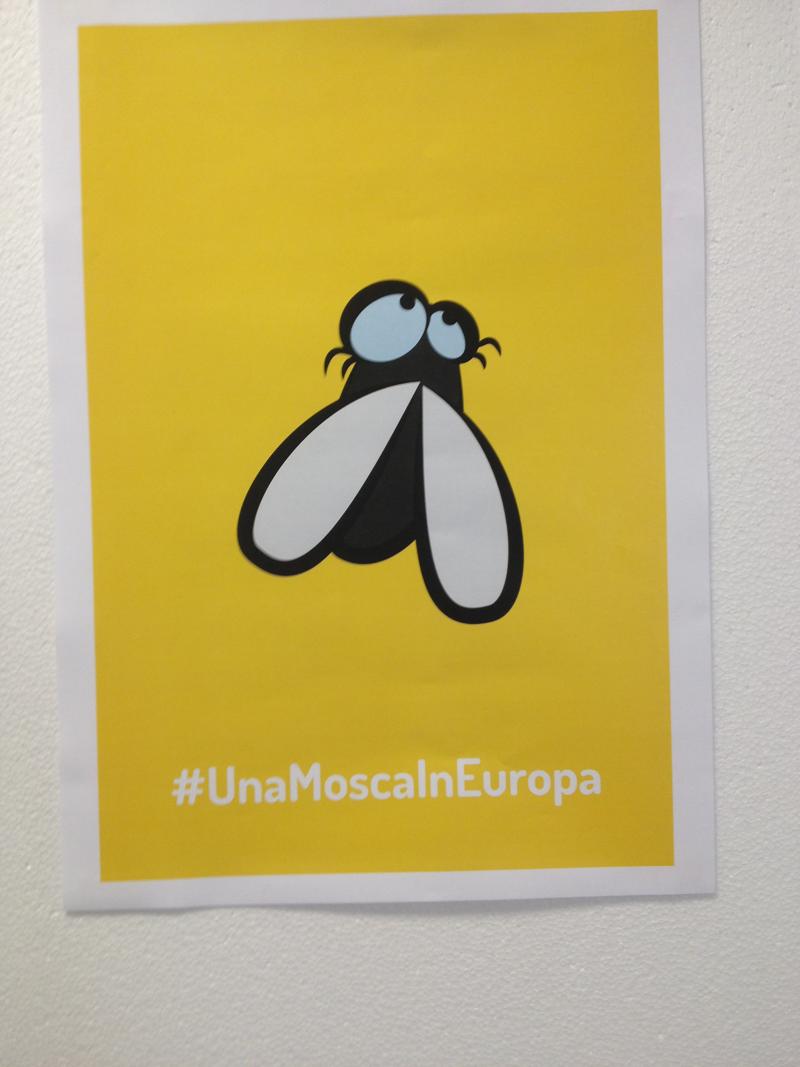 Mosca lancia la sua campagna. “L’euroscetticismo? Uno sprone” Mosca lancia la sua campagna. “L’euroscetticismo? Uno sprone”