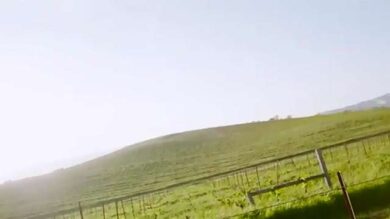 VIDEO: La foto più vista della storia? La collina di Windows Xp