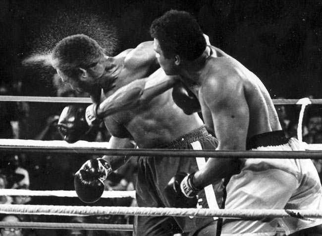 “La boxe è poesia”, versi e filosofia si sfidano sul ring. INTERVISTA “La boxe è poesia”, versi e filosofia si sfidano sul ring. INTERVISTA