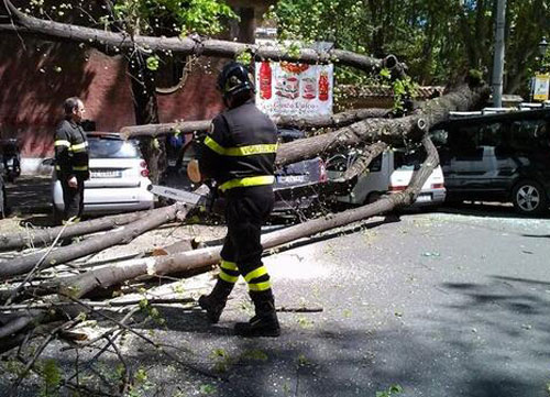 Allarme raffiche di vento. “Vola” un albero: danni Allarme raffiche di vento. “Vola” un albero: danni