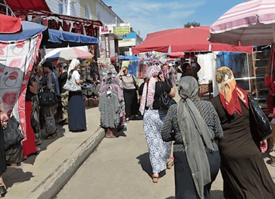 Cecenia.anthonymarra.net Cecenia.anthonymarra.net