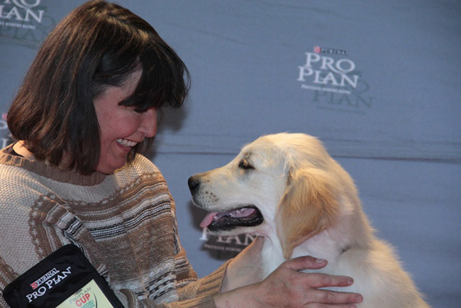 Ecco il cucciolo premiato per essere il più bello del mondo Ecco il cucciolo premiato per essere il più bello del mondo