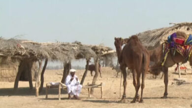 VIDEO: Trasformare il deserto del Cholistan in un parco fotovoltaico