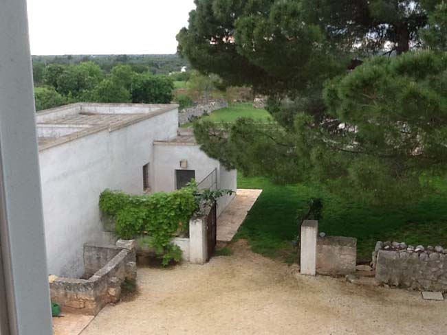Dalla Ferrari alla masseria di Ceglie… La seconda vita di Fiorio Dalla Ferrari alla masseria di Ceglie… La seconda vita di Fiorio