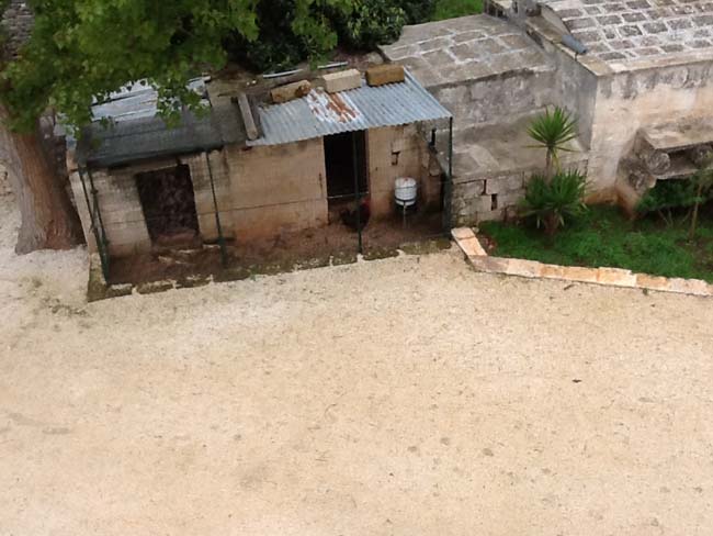 Dalla Ferrari alla masseria di Ceglie… La seconda vita di Fiorio Dalla Ferrari alla masseria di Ceglie… La seconda vita di Fiorio