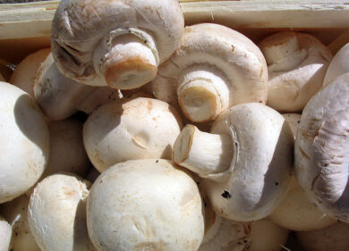 Gli champignon allucinogeni per combattere la depressione