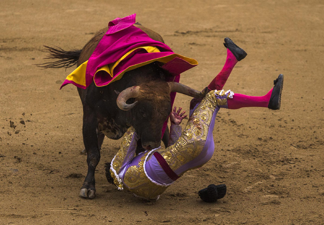 Madrid, corrida sospesa: incornati tre toreri