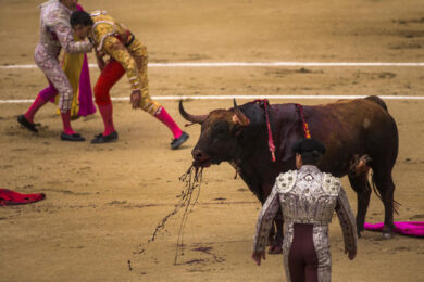 Madrid, corrida sospesa: incornati tre toreri