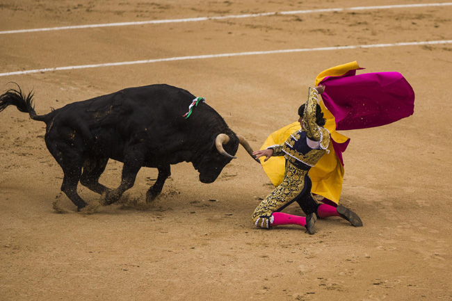 Madrid, corrida sospesa: incornati tre toreri