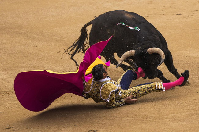 Madrid, corrida sospesa: incornati tre toreri