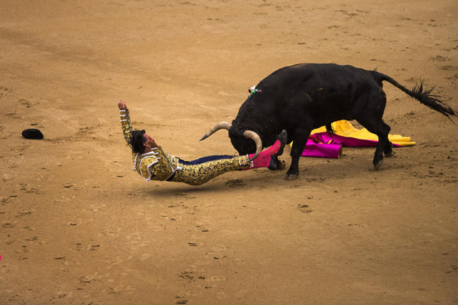 Madrid, corrida sospesa: incornati tre toreri
