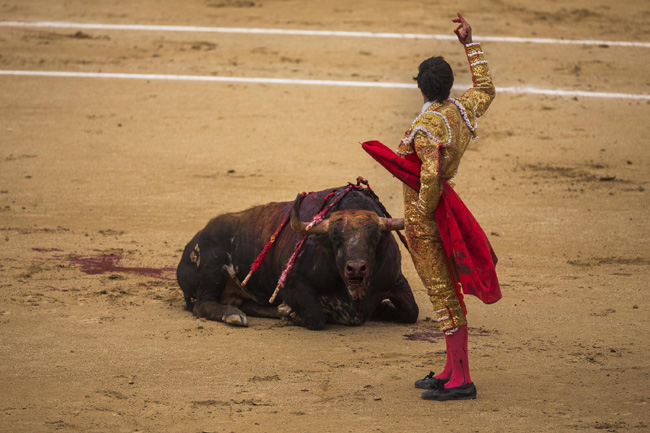 Madrid, corrida sospesa: incornati tre toreri