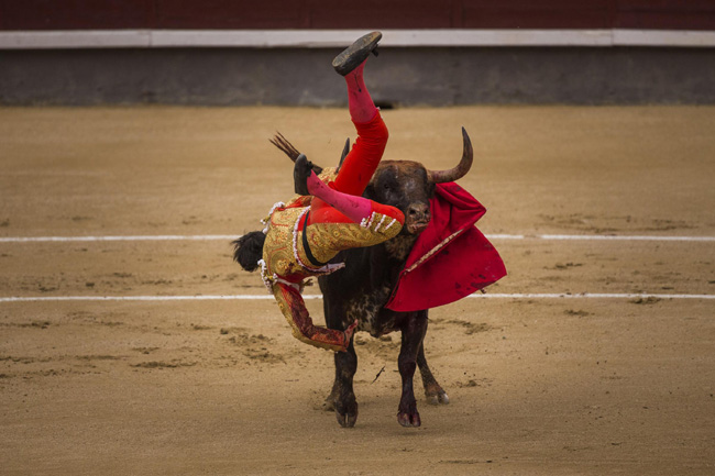 Madrid, corrida sospesa: incornati tre toreri