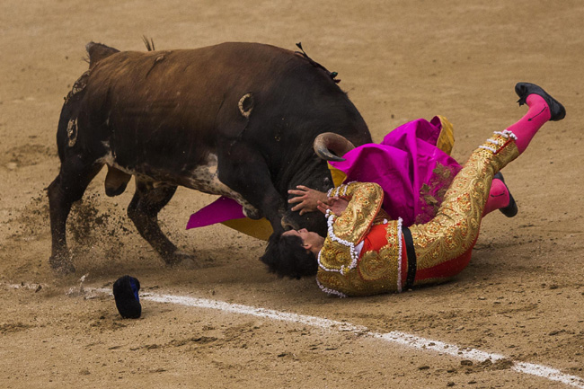 Madrid, corrida sospesa: incornati tre toreri