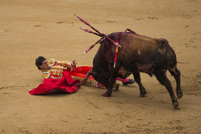 Madrid, corrida sospesa: incornati tre toreri