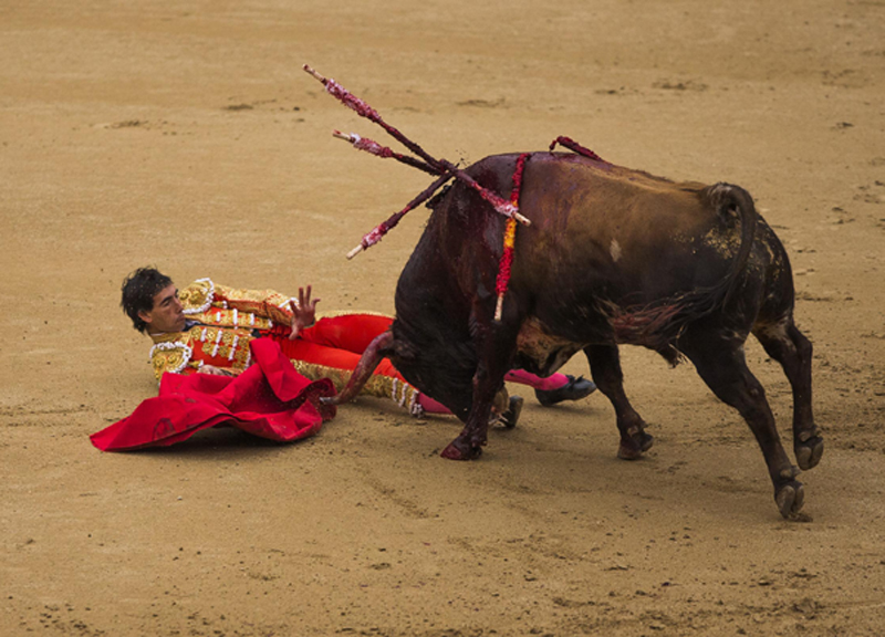 Madrid, corrida sospesa: incornati tre toreri