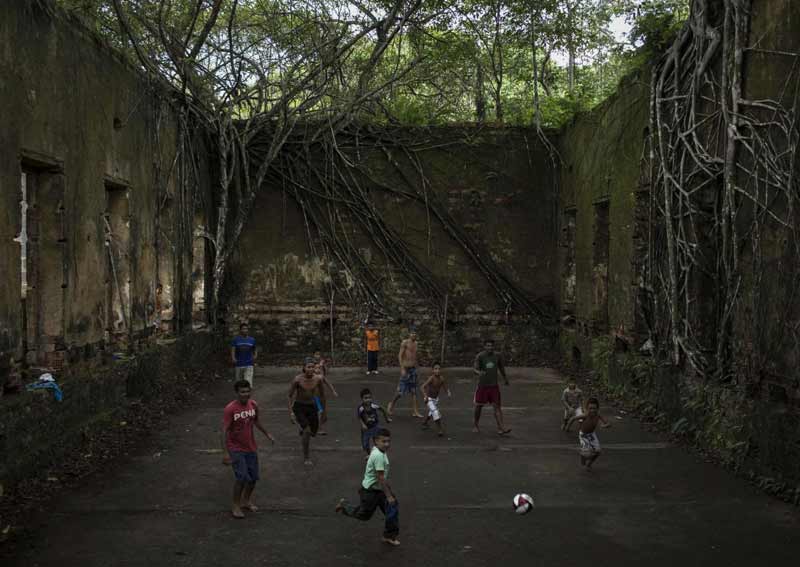 Amazzonia, il WWF gioca in difesa: ogni minuto addio a 3 campi di calcio Amazzonia, il WWF gioca in difesa: ogni minuto addio a 3 campi di calcio